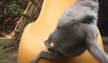 巴哥爆料新世界视频播放,新世界视频播放背后的秘密