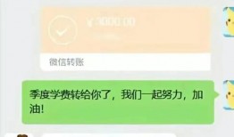董宇辉学生爆料视频,揭秘名师背后的真实故事