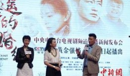 刘威葳主演的电视剧,情感纠葛与命运抉择