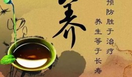 娱乐吃瓜酱中医养生小说,中医养生小说中的趣味人生