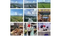 今日德州爆料微博最新,揭秘背后惊人真相！