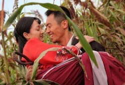 红高粱电视剧多少集,跨越时代的爱情传奇，浓缩于XX集的激情岁月