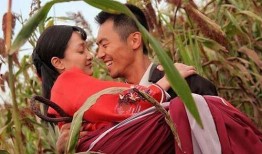 红高粱电视剧多少集,跨越时代的爱情传奇，浓缩于XX集的激情岁月