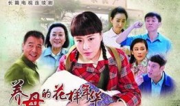 养母电视剧,温情岁月里的爱与救赎