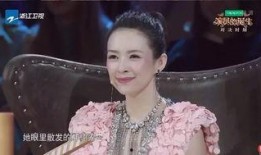 王海爆料章子怡视频在线观看,真相与争议