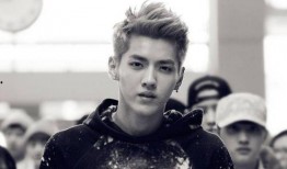 吴亦凡的电视剧有哪些,从音乐偶像到电视剧新秀的多面演绎