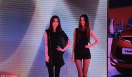 克麻豆,探寻古老茶树的传奇与魅力