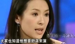 王海爆料章子怡视频在线观看,真相与争议