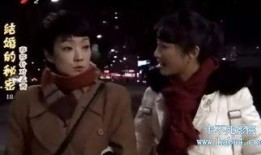 结婚的秘密全集在线观看,结婚的秘密全集深度解析