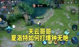 王者爆料夏洛特视频,王者爆料视频深度解析