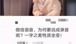 陈亚楠爆料大衣事件视频,视频曝光惊人内幕
