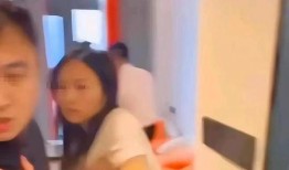 出轨被打视频在线观看,一场家庭悲剧的视觉记录