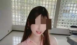 叶倩茹麻豆,时尚界的璀璨新星