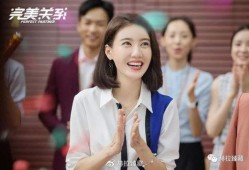 完美  电视剧,探寻人生百态，演绎情感纠葛
