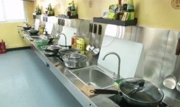 抗癌厨房爆料视频下载安装,下载安装背后的感人故事