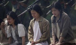 为安妇电影在线观看,揭开历史伤痕，探寻真相的感人之旅
