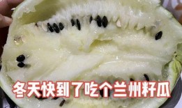 兰州免费吃籽瓜的地方,寻味城市中的甜蜜馈赠”