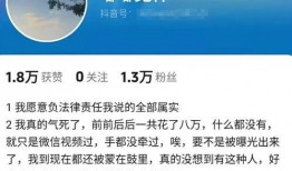 谭竹诈骗爆料视频,揭秘网络诈骗背后的黑幕