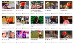 周六帮战拍卖爆料视频,精彩爆料视频抢先看