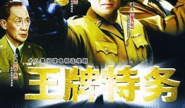 密探1987在线观看,揭秘冷战阴影下的惊险追踪