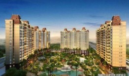 金辰御府最新爆料消息视频,揭秘高端豪宅的奢华与匠心之作