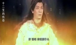 在线观看粉骷髅,网络迷雾中的惊悚悬疑之旅
