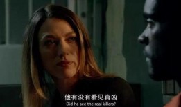 美剧目击者在线观看,未来世界，剧击者在线观看全解析