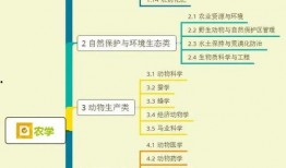肥西女婿爆料视频大全集