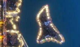 合肥天鹅湖最新爆料新闻