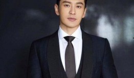 黄晓明新电视剧,风云再起，英雄归来