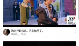 肥西女婿爆料视频大全集