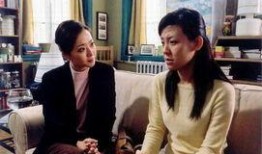 完美  电视剧,探寻人生百态，演绎情感纠葛