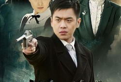 黑狐电视剧免费观看,揭秘神秘特工传奇，免费观看尽享谍战风云