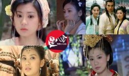 贾静雯主演电视剧,穿越时空的爱恋