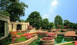 海南碧桂园爆料视频最新,揭秘神秘项目背后的故事