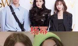 网红与明星同框,跨界互动闪耀娱乐圈