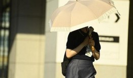 初恋豚鼠漫画,甜蜜校园的纯真爱情故事