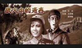 战斗中的青春 电视剧,战火中的青春岁月