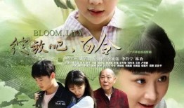 电视剧绽放吧百合,青春校园的励志成长之旅