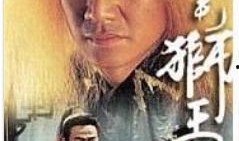 金毛狮王电视剧,传奇英雄的荣耀征程