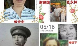 我们的知青岁月电视剧,知青岁月的青春记忆