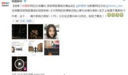 网红深夜爆料视频大全,视频大全背后的惊人真相