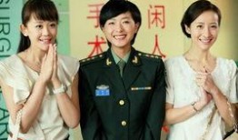 我家有喜电视剧 全集,温馨家庭喜剧全景