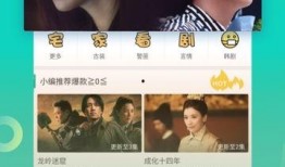 大力最近爆料视频大全,视频大全背后的惊人真相