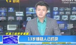 岑溪新闻爆料事件视频播放,视频揭露惊人真相