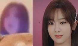 娱乐圈爆料官方女主是谁,官方女主身份揭晓，神秘女主角引热议