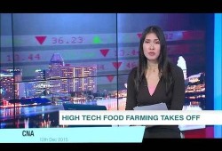 新津电视台爆料新闻直播,聚焦热点事件，揭示社会真相