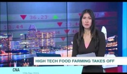 新津电视台爆料新闻直播,聚焦热点事件，揭示社会真相