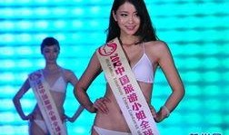 深圳潘小姐最新爆料,揭秘事件背后惊人真相