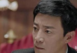 电视剧演员,揭秘电视剧演员的辉煌历程